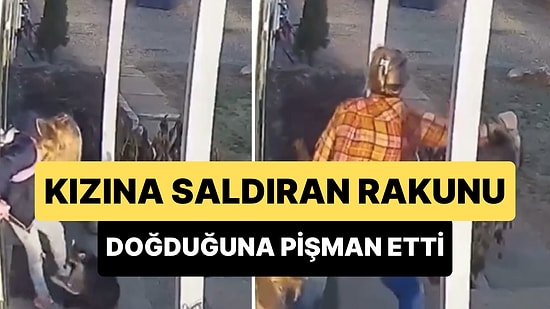 Rakun Saldırısı ile Çığlık Çığlığa Kalan Kızını Kurtaran Annenin Muhteşem Anları