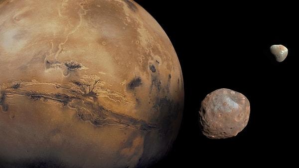 NASA'nın Viking 1 sondası Mars'a vardığında, uzay araştırmalarında altın bir çağ için büyük umutlar taşıyordu.
