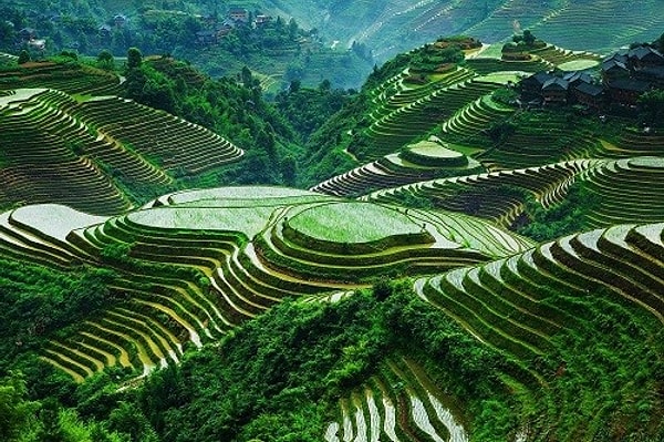 4. Banaue Rice Terraces