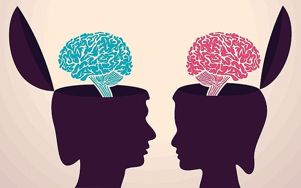 "İki tür beyin var: Empatikler ve sistemleri analiz etmekle parçalarına ayırmakla ilgilenenler."