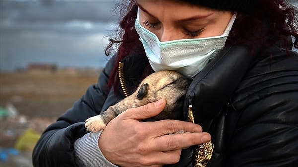 İddianamede, köpeklerden 'Can dostumuz' nitelemesiyle bahsedildi.