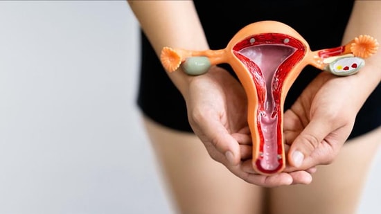 Важное открытие для здоровья женщин: Ученые смогли воссоздать ткани и микробиом влагалища