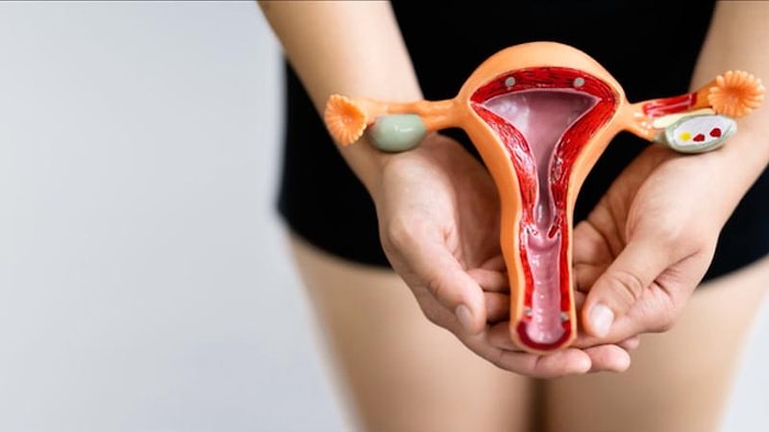 Важное открытие для здоровья женщин: Ученые смогли воссоздать ткани и микробиом влагалища