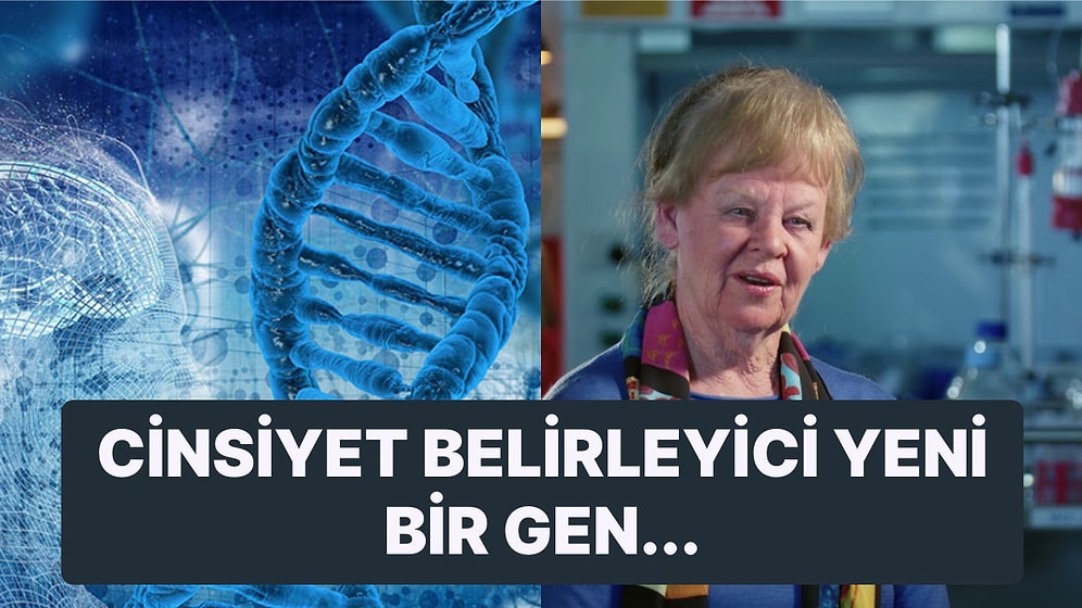 İnsanlığın Sonu Gelebilir! Bilim İnsanları Y Kromozomunun Yok Olabileceğini Keşfetti