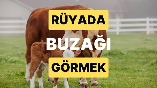 Rüyada Buzağı Görmek: Çevrenizdekilere Karşı Yumuşak Davranmanız Gerekebilir!