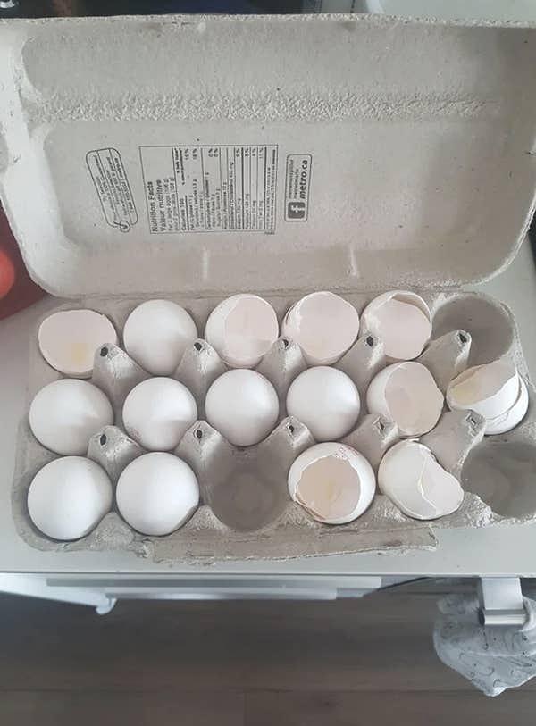 10. "Neden bilmiyorum ama yumurta kabuklarını atmak yerine kartonun içine geri koyuyor."
