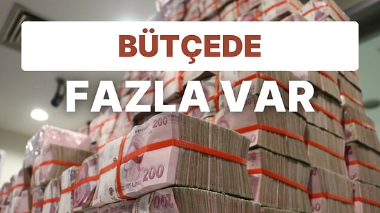 Hazine, Merkezi Yönetim Kasım Bütçesini Açıkladı: Bütçeden Neler Gitti? Bütçeye Neler Geldi?