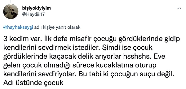 Kedilerin kaçacak delik araması 😂