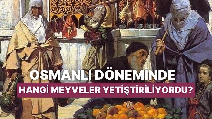 Bugünlere Çok Benziyor! Osmanlı Devleti Döneminde Anadolu'da Hangi Meyveler Üretilirdi?