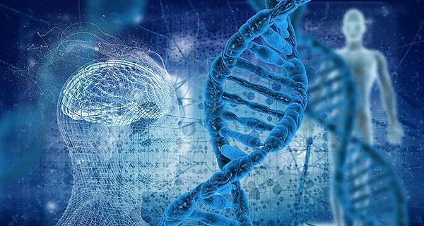 Projedeki araştırmacılar, işlevsel genlerin önceden var olan veritabanlarına bakarak evrimimizin kanıtlarını arayabildiler.