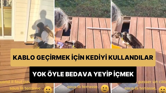 Verimli Kedi Kullanımı: Zeminin Altından Kablo Geçirmek İçin Kedi Kullanan 1000 IQ Çift