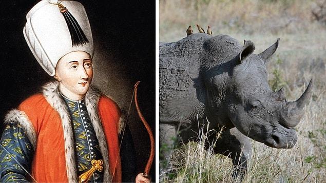 3. En 1619, le Shah d'Iran, Abbas, offrit au jeune Osman un rhinocéros, ainsi que des fourrures et de la soie !