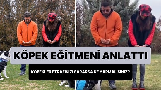 Köpek Eğitmeni Tarkan Özvardar Anlattı: Köpek Sürüsü Tarafından Etrafınız Sarılırsa Ne Yapmalısınız?