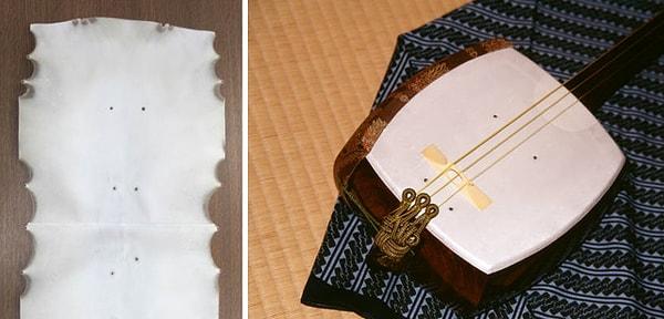 2. Geleneksel Japon enstrümanlarından olan Shamisen yapılırken kedilerin karnındaki deri kullanılıyor...