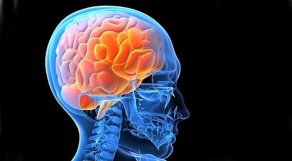 Beyin Yiyen Amip Nasıl Bulaşır?