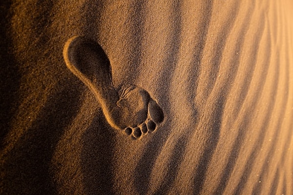 6. İngiltere'deki en eski insan ayak izleri Norfolk'ta bulunmuştur ve 850 bin yıllık olduğu düşünülmektedir.