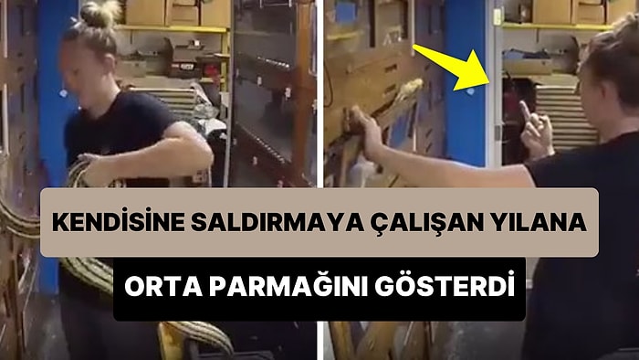 Kafese Koymaya Çalıştığı Yılan Saldırı Girişiminde Bulununca Orta Parmağını Gösteren Kadın