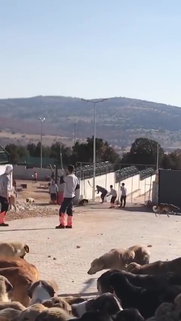 Başsavcılık, dün 2 sanığın tahliyesine yönelik karar için 3'üncü Ağır Ceza Mahkemesi'ne itirazda bulundu. Mahkeme, savcılığın itiraz kararını değerlendirecek.