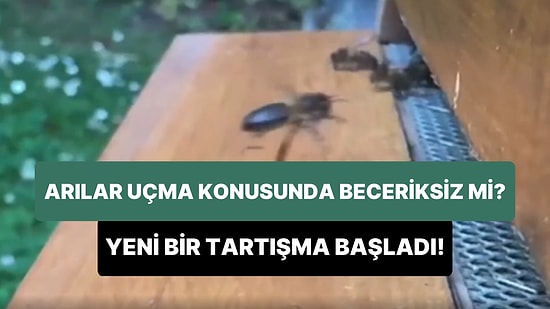 Ağır Çekimde Kaydedilen Görüntüler Yeni Bir Tartışma Başlattı: Arılar Uçma Konusunda Beceriksiz Hayvanlar mı?