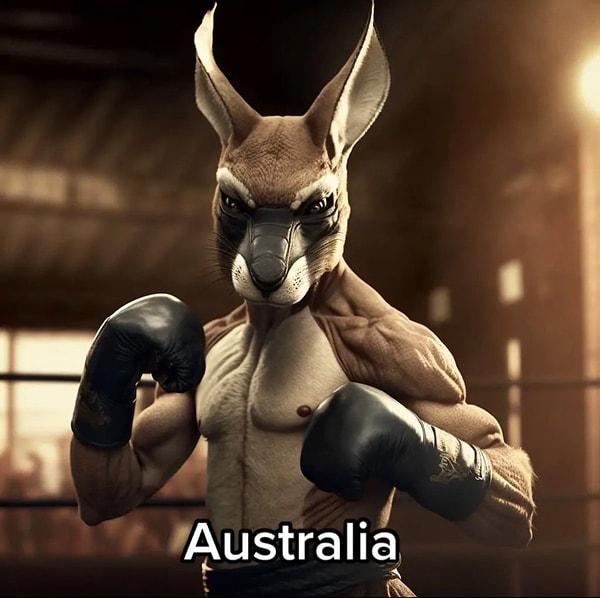 Avustralya için ise kangurudan başka bir şey düşünmek zaten mümkün değildi.