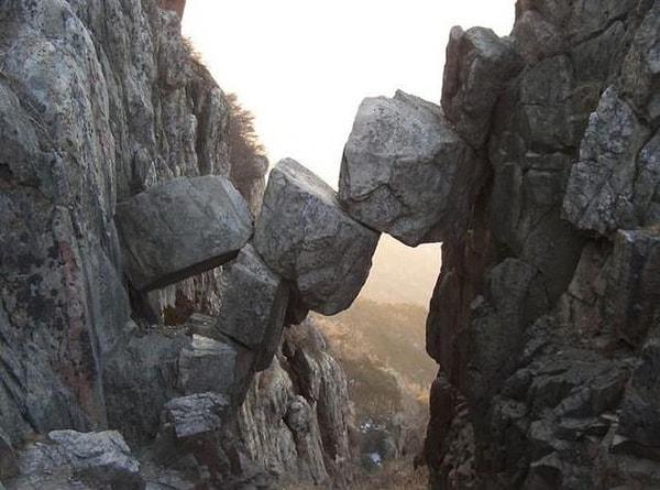 Tai Dağı: Ölümsüzlük Köprüsü
