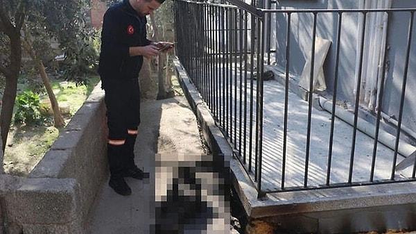 Denizli'de 'Paşa' isimli av köpeği, kulübesinde yanıcı madde dökülüp diri diri yakıldı. Polis, şüphelilerin yakalanması için çalışma başlattı.