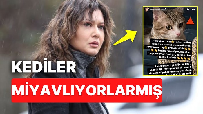 Nurgül Yeşilçay Hayvan Beslediği İçin Tepki Gösteren Komşularına Açtı Ağzını Yumdu Gözünü!