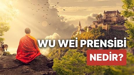 Wu Wei Prensibi Nedir? Wu Wie Felsefesi ile Paranızı Yönetin, Hayatınızı İyileştirin ve Yol'unuzu Bulun