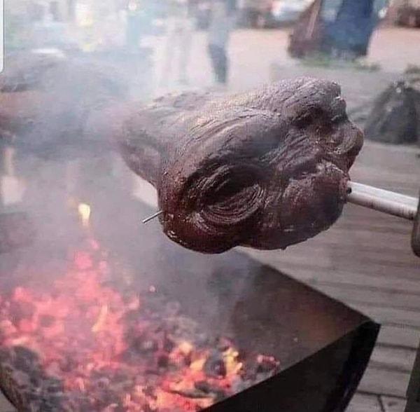 16. Sanki bizim uzaylı E.T.'yi şişe takmış pişiriyorlar.