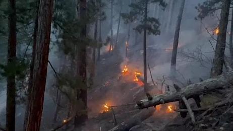 Denizli’de Orman Yangını: 9 Saat Sonra Kontrol Altına Alındı