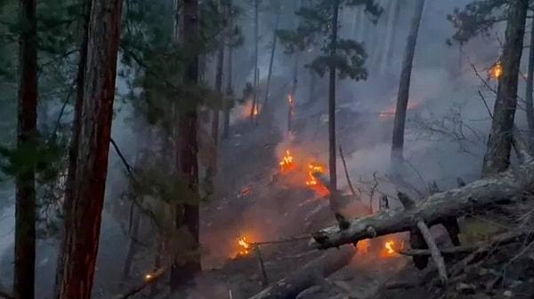 Denizli’nin Merkezefendi ilçesindeki Başkarcı Dağının sarp bölgesinde çıkan orman yangını 9 saat sonra kontrol altına alındı.