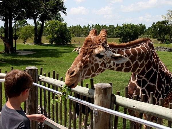 Hayvanat bahçeleri özellikle çocukların ziyaret etmek istediği mekanlar arasında yer alıyor.