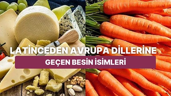 Peynir, Tereyağ, Havuç, Soğan! Latinceden Diğer Dillere Geçen Besin İsimleri