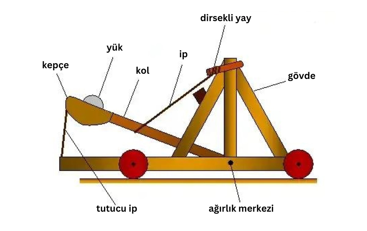 Вид катапульты сканворд 5