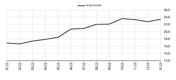 Yıl sonu dolar/TL'nin seviyesinin 23,12 seviyesinde olması öngörülüyor.