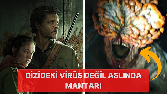 The Last of Us Dizisinde Mantar Enfeksiyonu Şeklinde Bulaşan Zombi Salgını Gerçek Hayatta da Yaşanabilir!