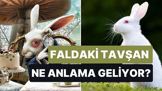 Falda Tavşan Görmek Ne Demektir? Bembeyaz Tavşan Sizce Masum mu?