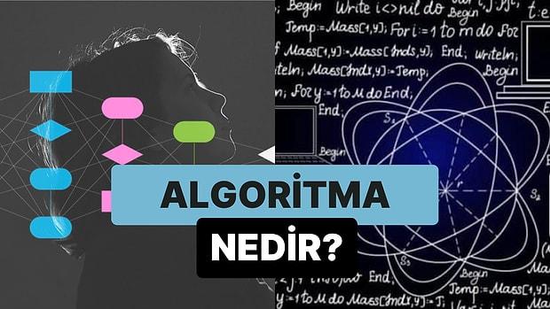 Bir Problemi Çözmek İçin Tasarlanan Yol: Algoritma Nedir?