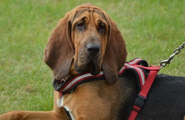 9. А этот грустный малый...