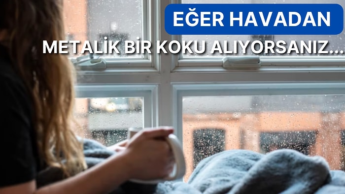 Yağmur Yağdığında Havadaki Yağmur ve Toprak Kokusundan Neden Zevk Alırız?