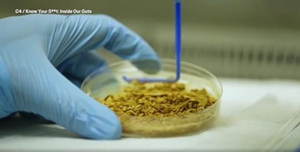 Доктор Блэр Меррик сказала следующее о своем странном методе лечения: