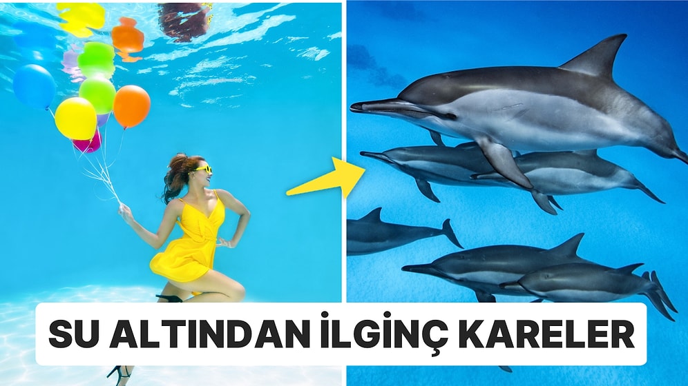 Ahtapot Saldırısından Sevimli Yunuslara Dünyanın En Büyük Su Altı Fotoğraf Yarışması Sonuçlandı!