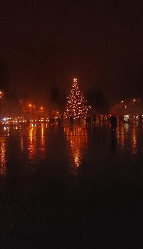 14. Lviv, Ukrayna'da yılbaşı ağacı.
