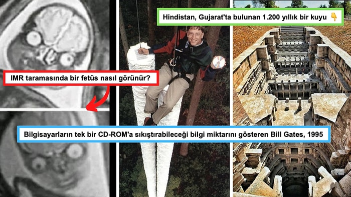 Gördükten Sonra Dünyaya Bakış Açınızı Değiştirecek Her Biri Birbirinden Enteresan 23 Görsel