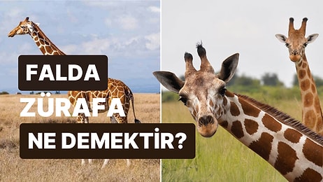 Falda Zürafa Görmek Ne Demektir? Bu Uzun Yolda Sizi Neler Bekliyor?