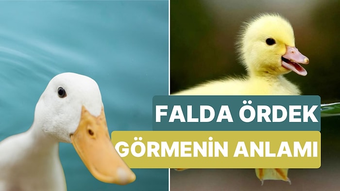 Falda Ördek Görmek Ne Demektir? Çabalarınız Karşılığını Bulacak!