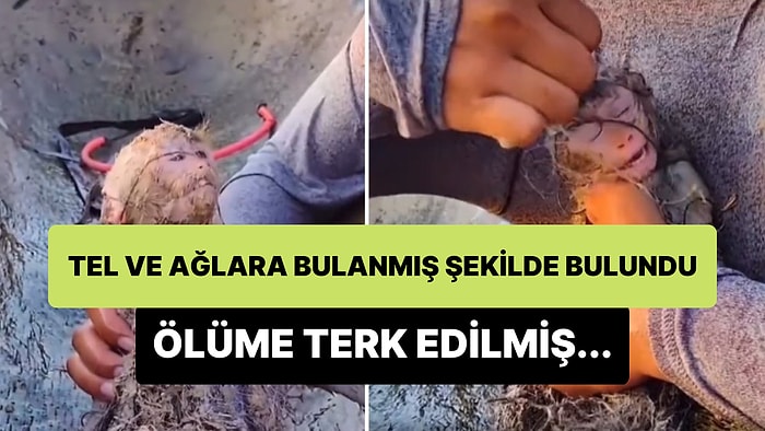 Vicdansızlar Tarafından Tel ve Ağlarla Bağlanarak Ölüme Terk Edilen Yavru Maymun İçinizi Acıtacak!