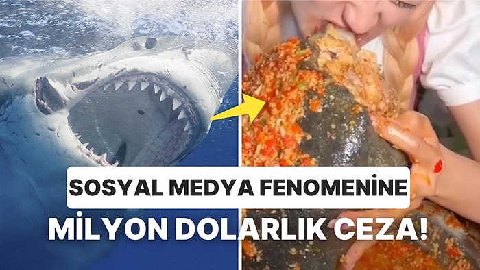 Büyük Beyaz Köpek Balığını Afiyetle Yiyen Sosyal Medya Fenomenine Milyon Dolarlık Ceza Kesildi!