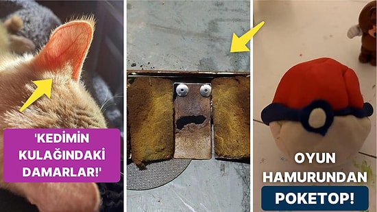 Görünce Dakikalarca Ekrana Kilitleneceğiniz Birbirinden İlginç 17 Fotoğraf