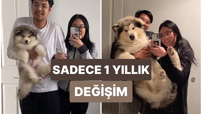 Patili Dostlarının Büyüme Sürecini Kaydeden Çiftin Videosuna Kalbinizi Bırakacaksınız!